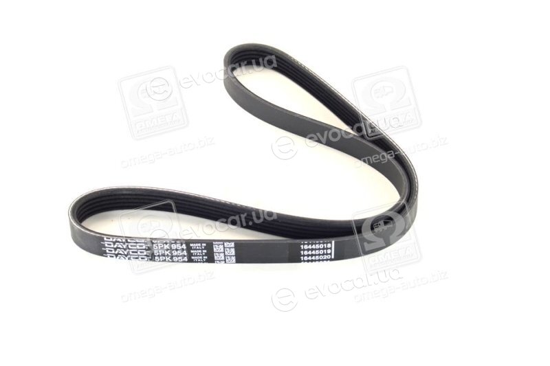 Dayco 5PK954