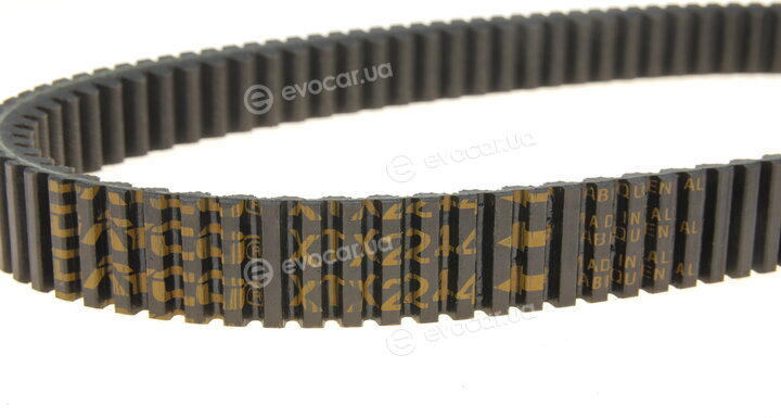 Dayco XTX2244
