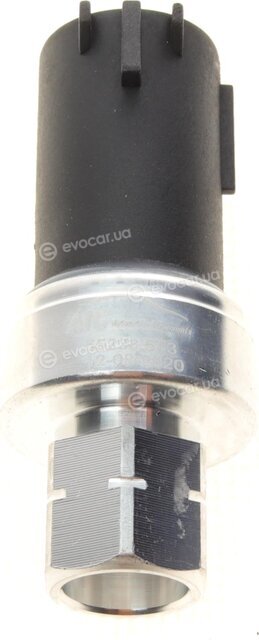 AIC 55238