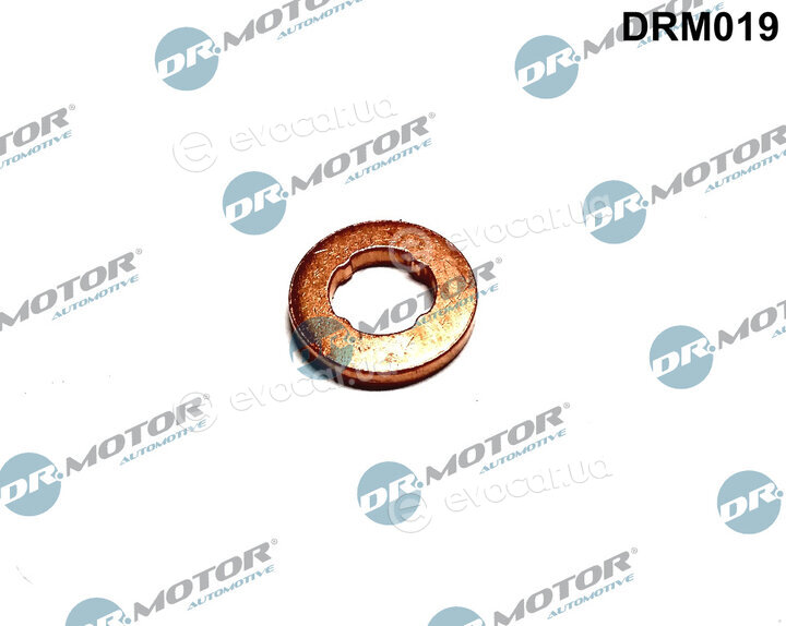 Dr. Motor DRM019