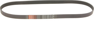 Gates 6PK1113