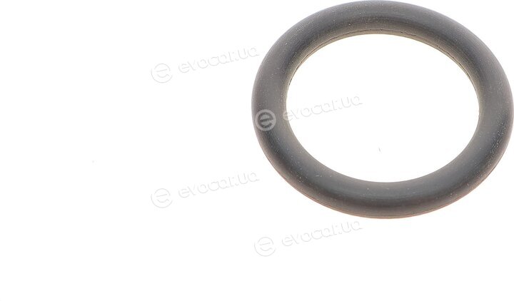Elring 592.250