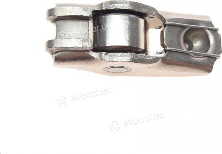 Borsehung B18208