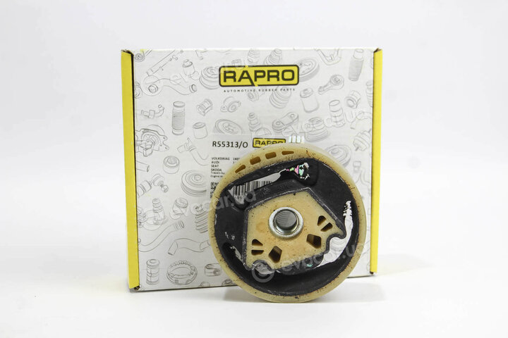 Rapro R55313/O