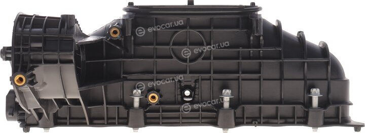 Solgy 114292