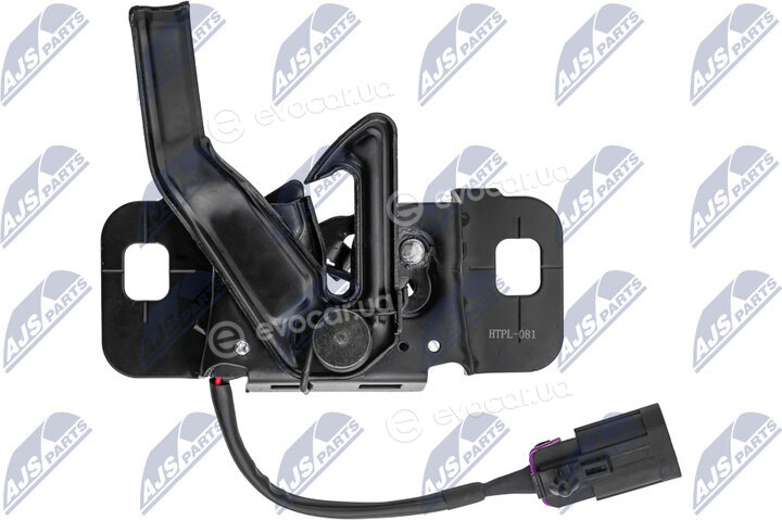 NTY EZC-PL-081