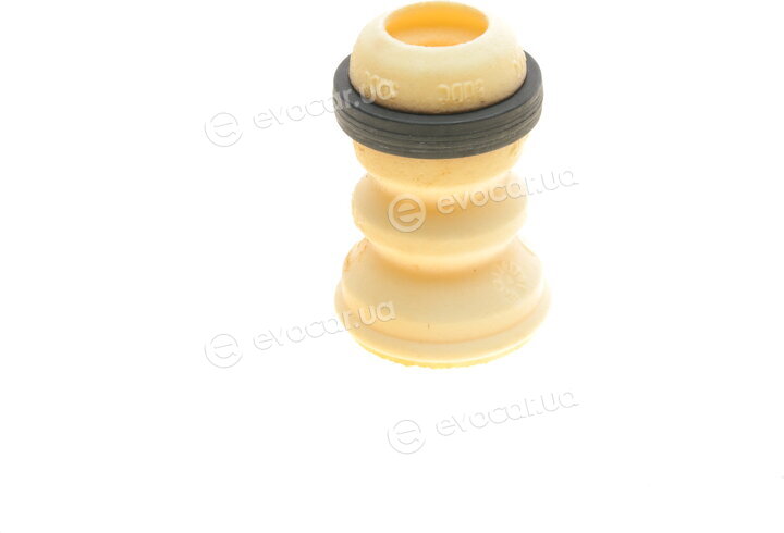 Borsehung B10027