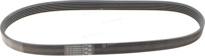 Continental / Contitech 6 PK 860 ELAST