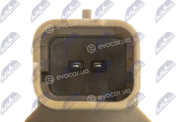 NTY ESCV-CT-002