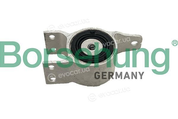 Borsehung B13255