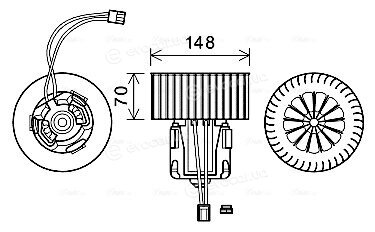 AVA BW8539