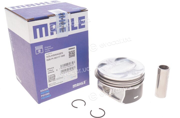 Mahle 028 PI 00117 000