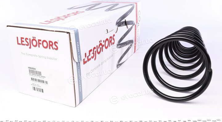 Lesjofors 4062024