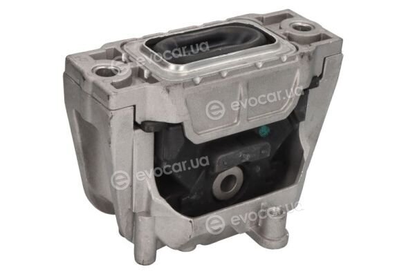 Reinhoch RH11-0156