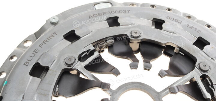 Blue Print ADBP300037