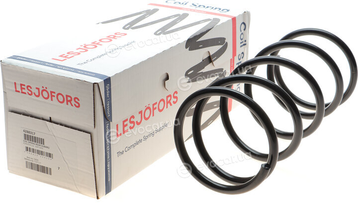 Lesjofors 4288317