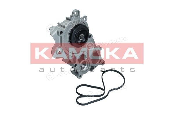 Kamoka T0286