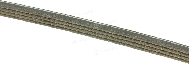 Dayco 4PK711EE