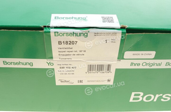 Borsehung B18207