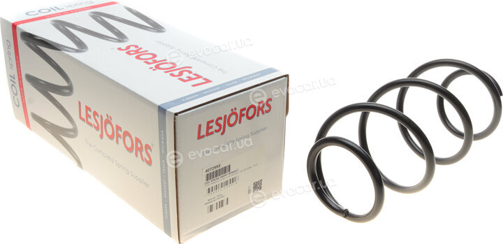 Lesjofors 4072993