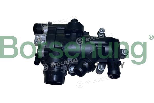 Borsehung B10555