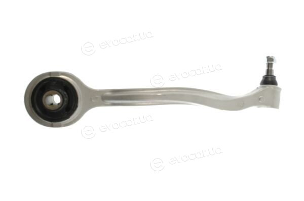 Fortune Line FZ5181