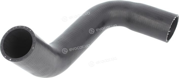 Thermotec DCD018TT