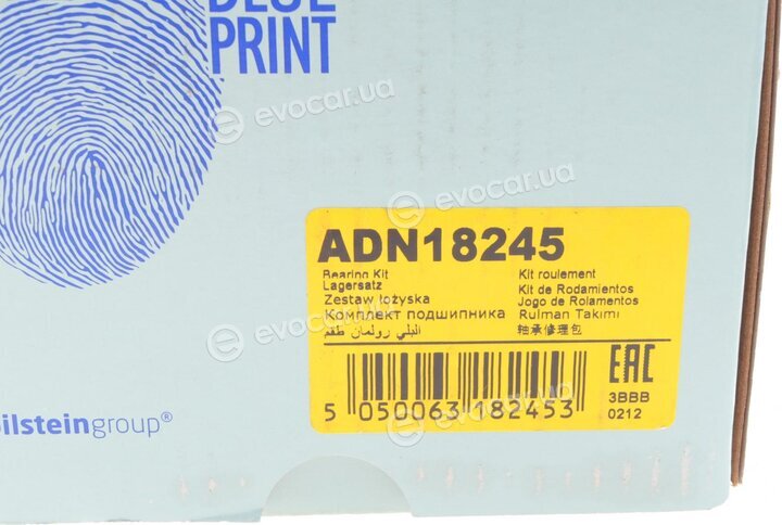 Blue Print ADN18245