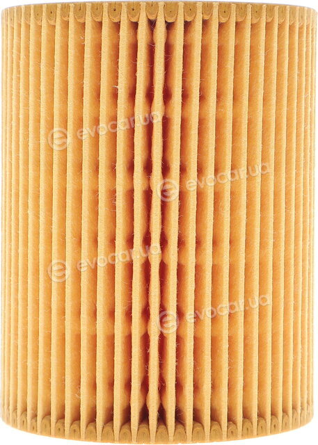 Solgy 101043