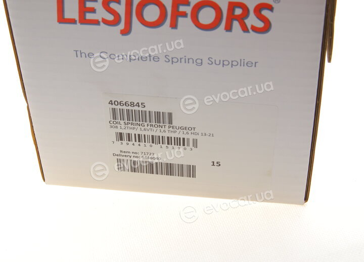 Lesjofors 4066845