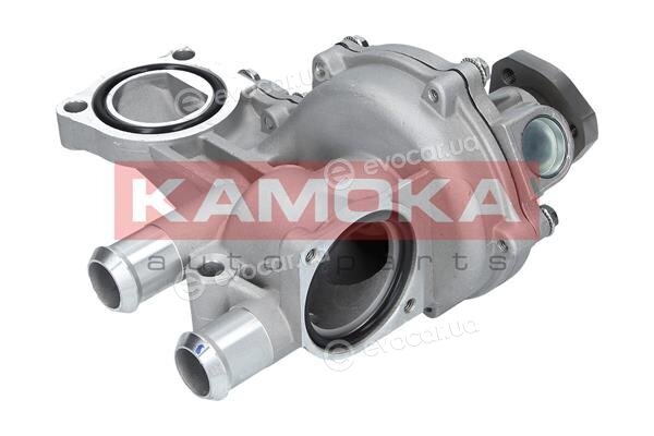 Kamoka T0043