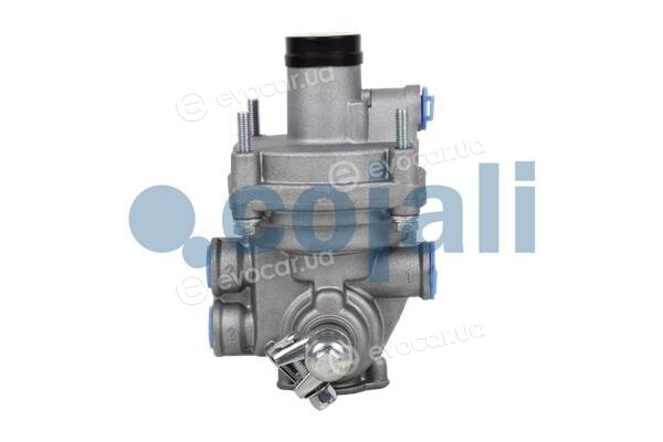 Cojali 2220332