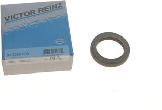 Victor Reinz 81-35551-00