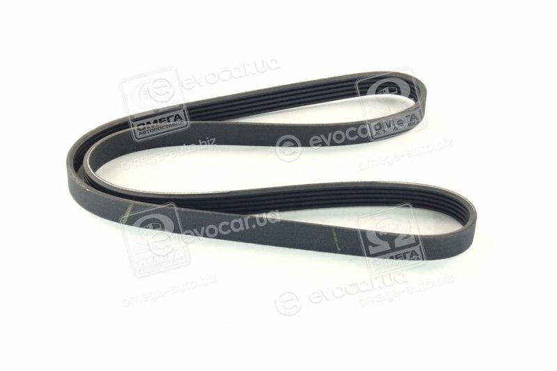 SKF VKMV 5PK1110