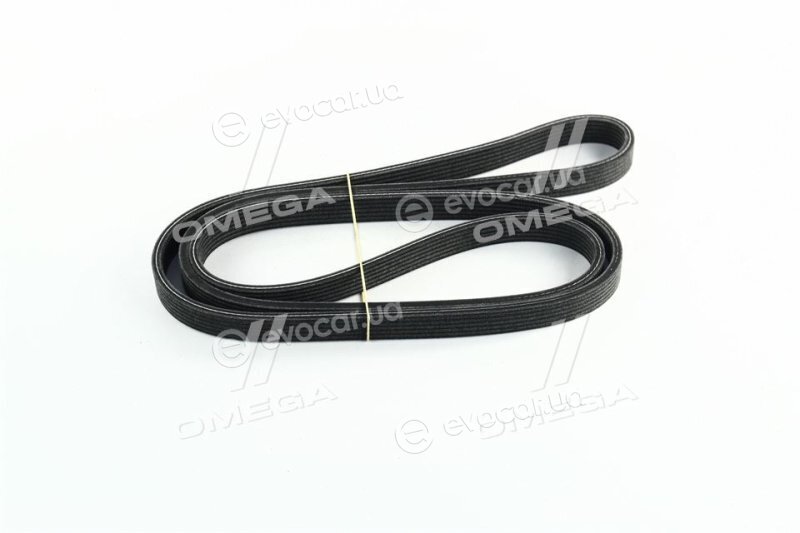 Dayco 6DPK1817