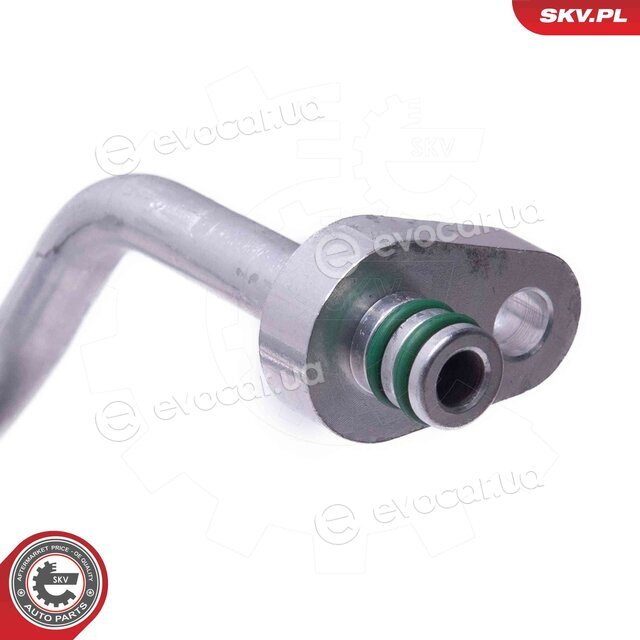 SKV 43SKV538