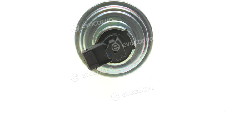 Wahler / BorgWarner 710970D