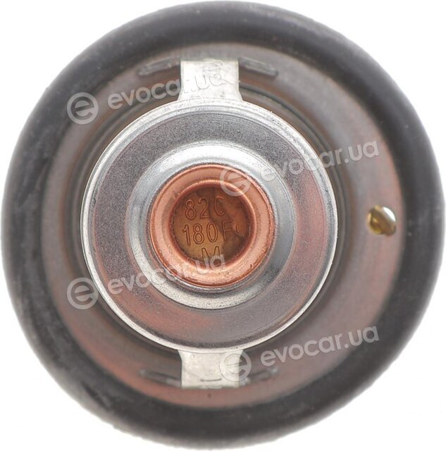 Motorad 446-82K
