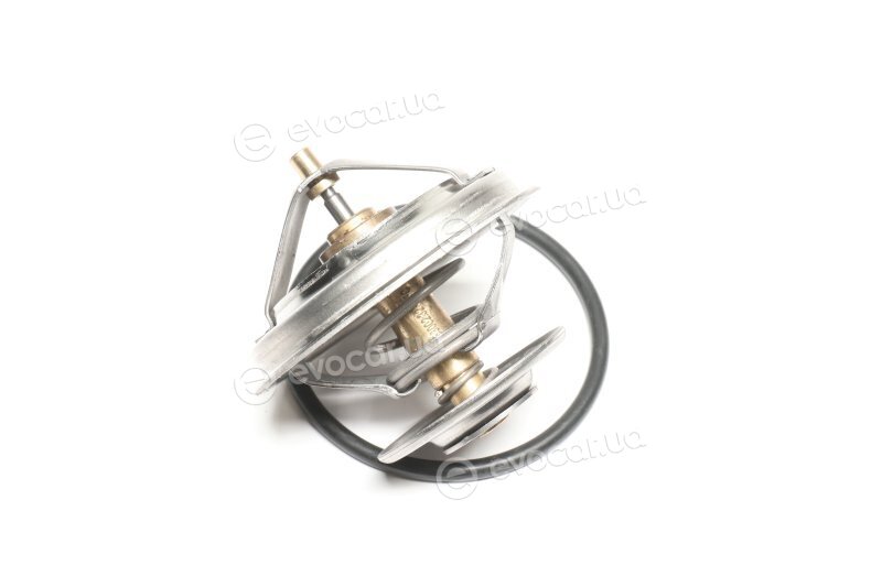 Wahler / BorgWarner 4105.71D