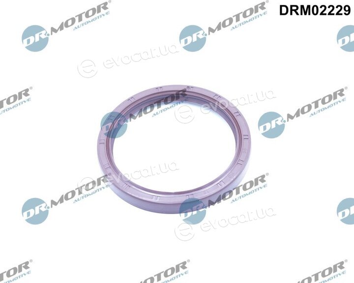 Dr. Motor DRM02229