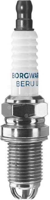 BorgWarner Z246