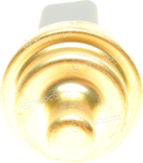 AIC 51169