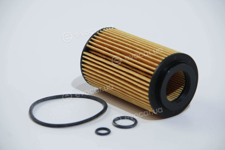 Mahle OX 153/7D1