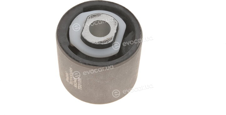 Delphi TD310W
