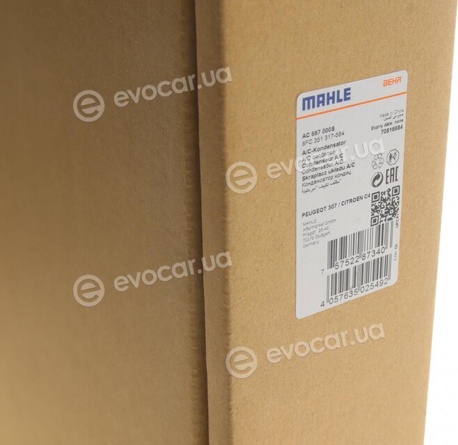 Mahle AC 667 000S