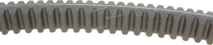 Dayco XTX2268