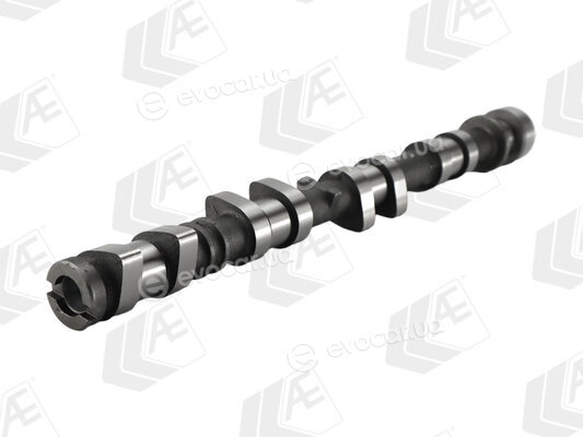 AE CAM1079