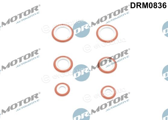 Dr. Motor DRM0836