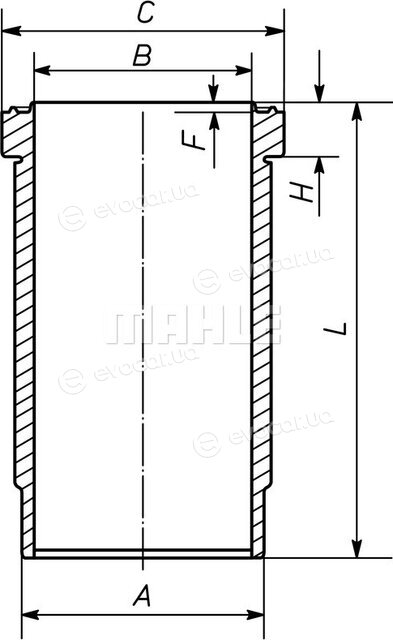 Mahle 227 WN 67 01