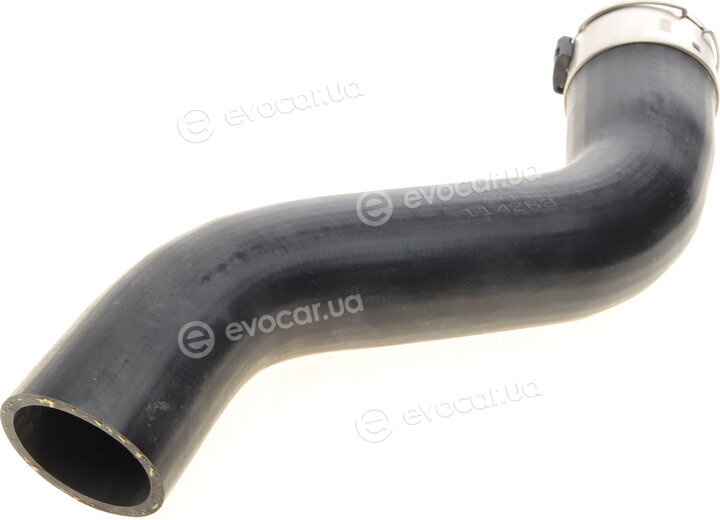 Solgy 114263